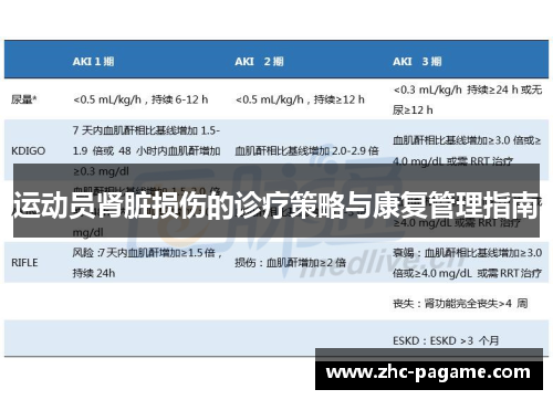 运动员肾脏损伤的诊疗策略与康复管理指南 运动员肾脏损伤的诊疗策略与康复管理指南
