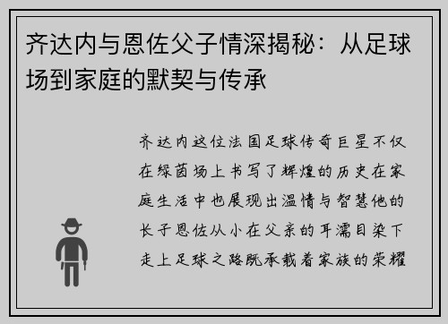 齐达内与恩佐父子情深揭秘：从足球场到家庭的默契与传承