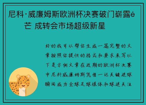 尼科·威廉姆斯欧洲杯决赛破门崭露锋芒 成转会市场超级新星